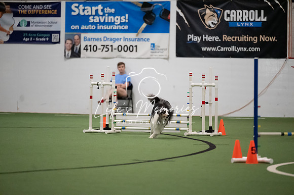 LMP_5924