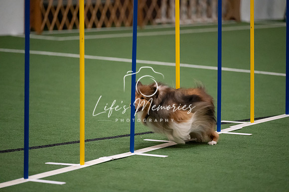 LMP_3881