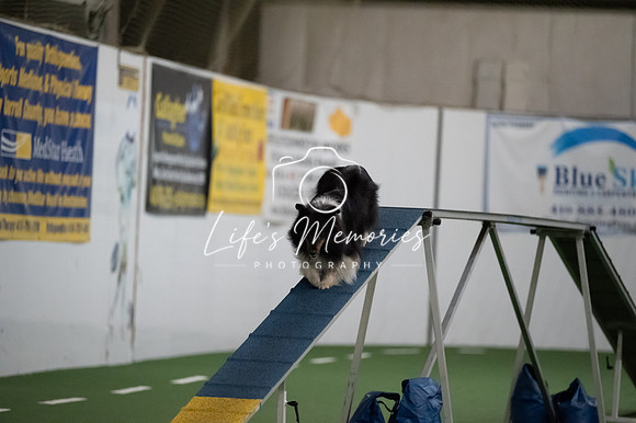 LMP_2265