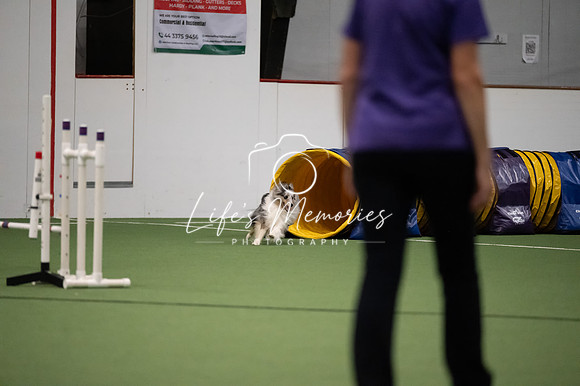 LMP_0047