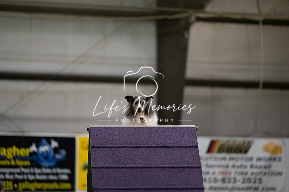 LMP_6314