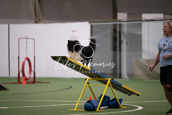 LMP_6621