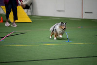 LMP_7388