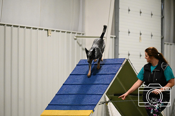 LMP_6556