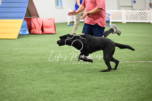 LMP_7085