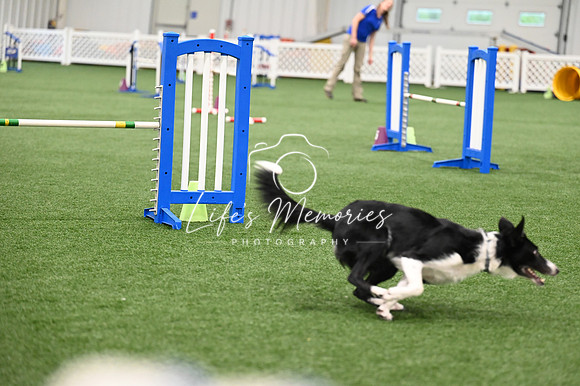 LMP_9149