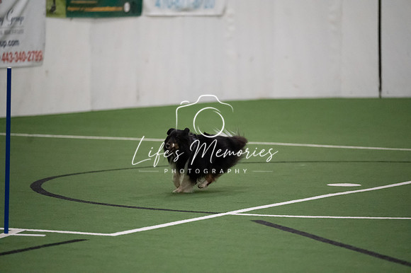 LMP_4134