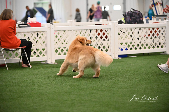 LMP_8917
