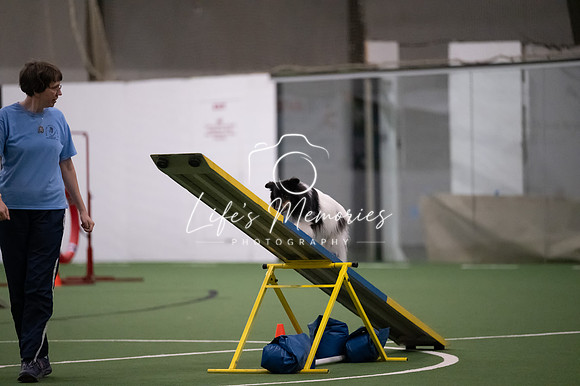 LMP_6554