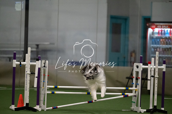 LMP_2617