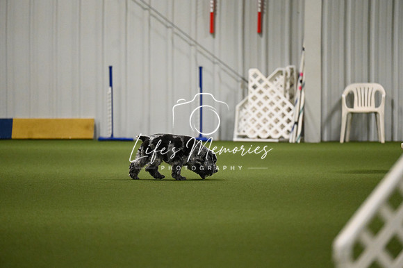 LMP_7177