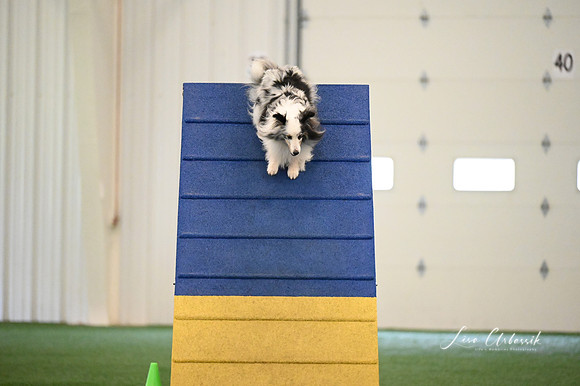 LMP_0139