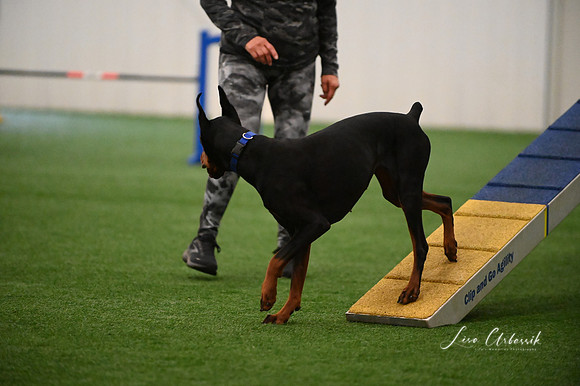 LMP_6304