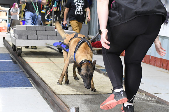 DSC_0723