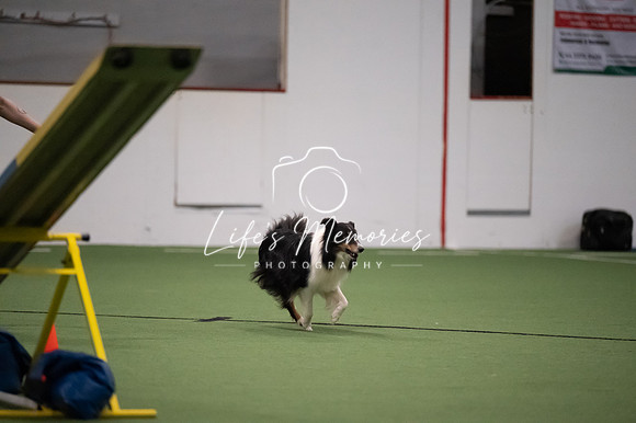 LMP_9595 (2)