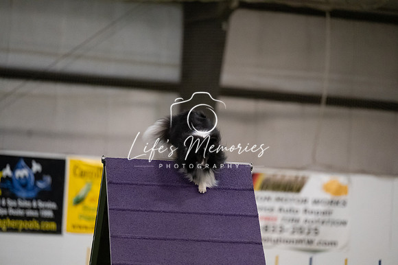 LMP_6434