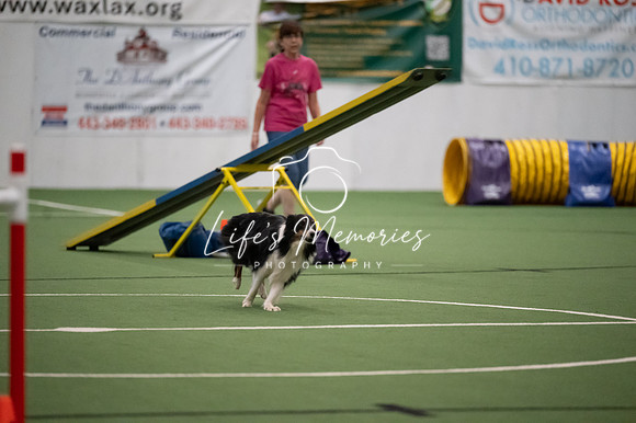 LMP_0596