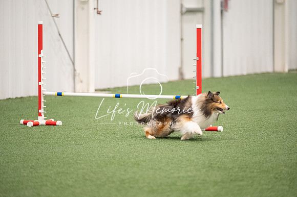 LMP_1585