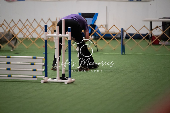 LMP_7561