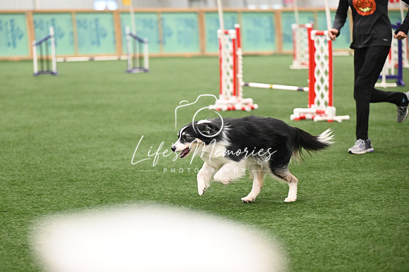 LMP_0005