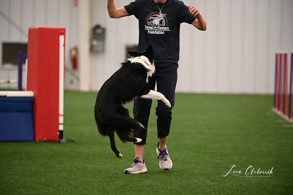LMP_6159