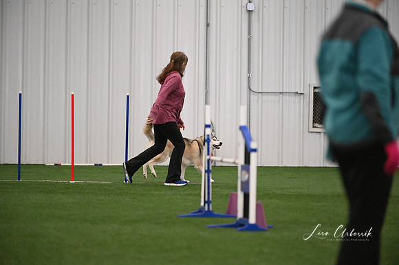 LMP_8958