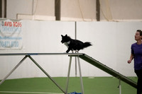 LMP_7565