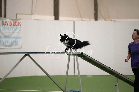 LMP_7565