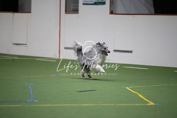 LMP_7255