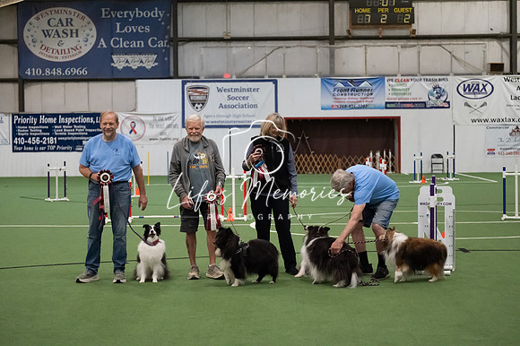 LMP_5081