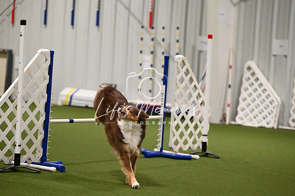 LMP_4279
