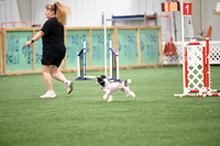 LMP_3693