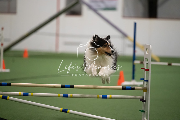 LMP_7797
