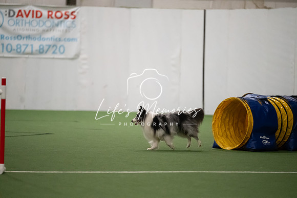 LMP_0830