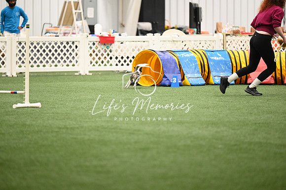 LMP_6899