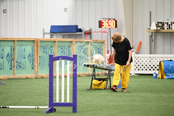 LMP_2081
