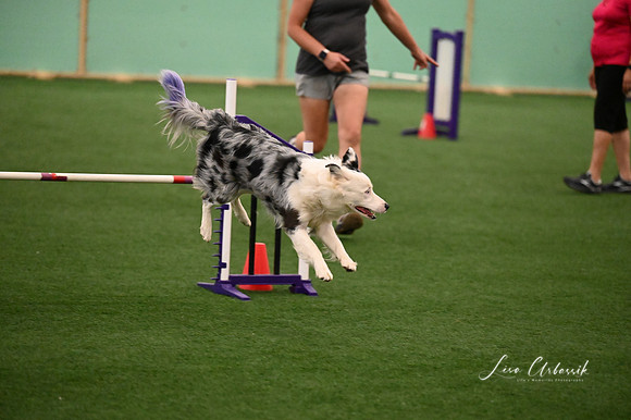LMP_7337