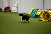 LMP_4697