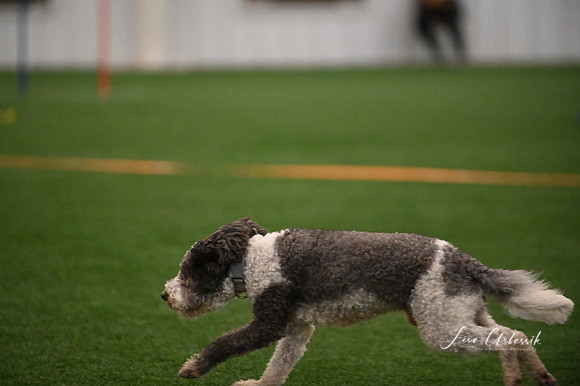 LMP_8880