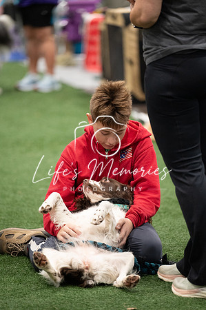 LMP_1647