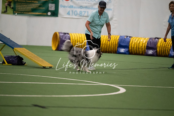 LMP_0471