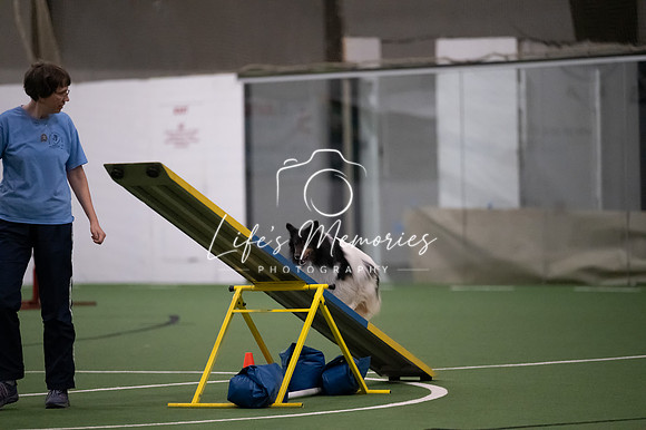 LMP_6551
