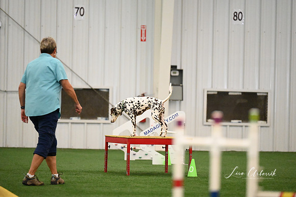 LMP_0943