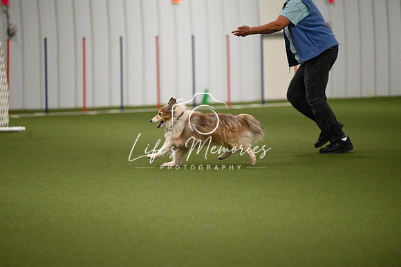 LMP_2720