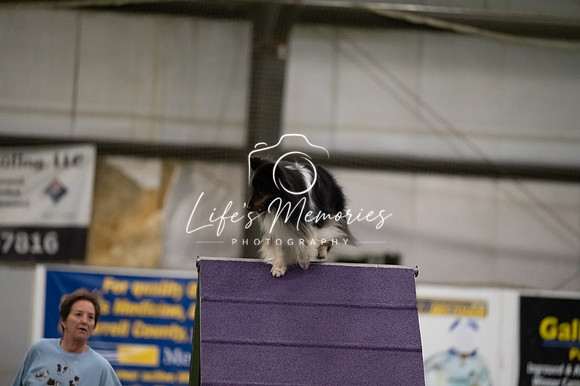 LMP_5475