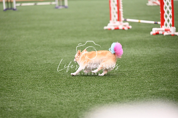 LMP_0065