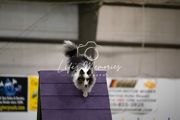 LMP_5919