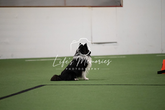 LMP_0932