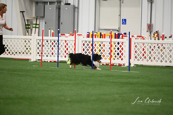 LMP_1768