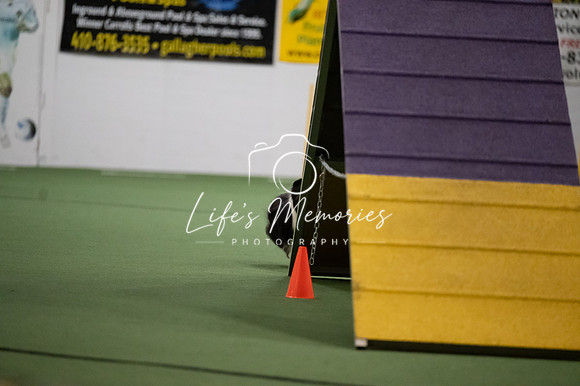 LMP_6405